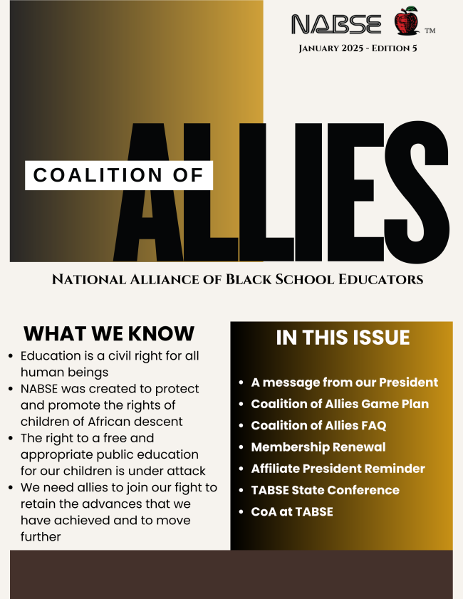 NABSE January 2025 Newsletter